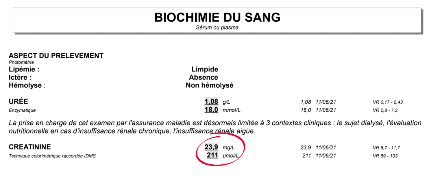 Fonction rénale DFG Créatinine l essentiel à comprendre