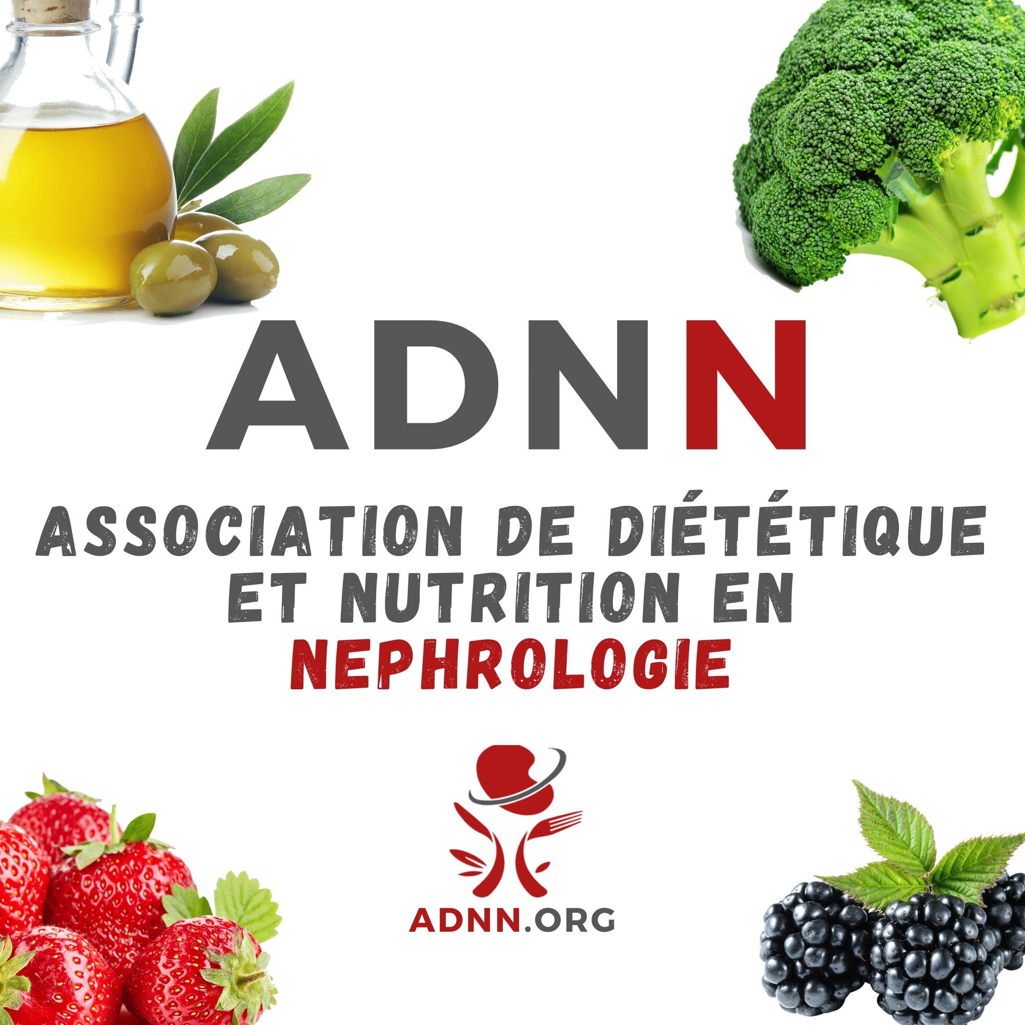 Olympiades de la nutrition – SFNDT 2024 – Le programme est disponible !